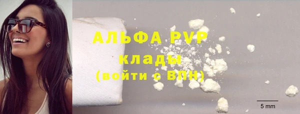 прущие грибы Балабаново