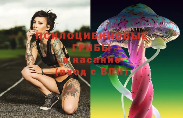 прущие грибы Балабаново