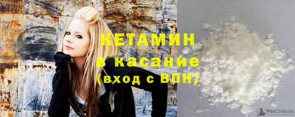 прущие грибы Балабаново