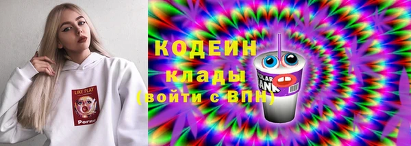 прущие грибы Балабаново