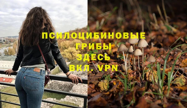 прущие грибы Балабаново